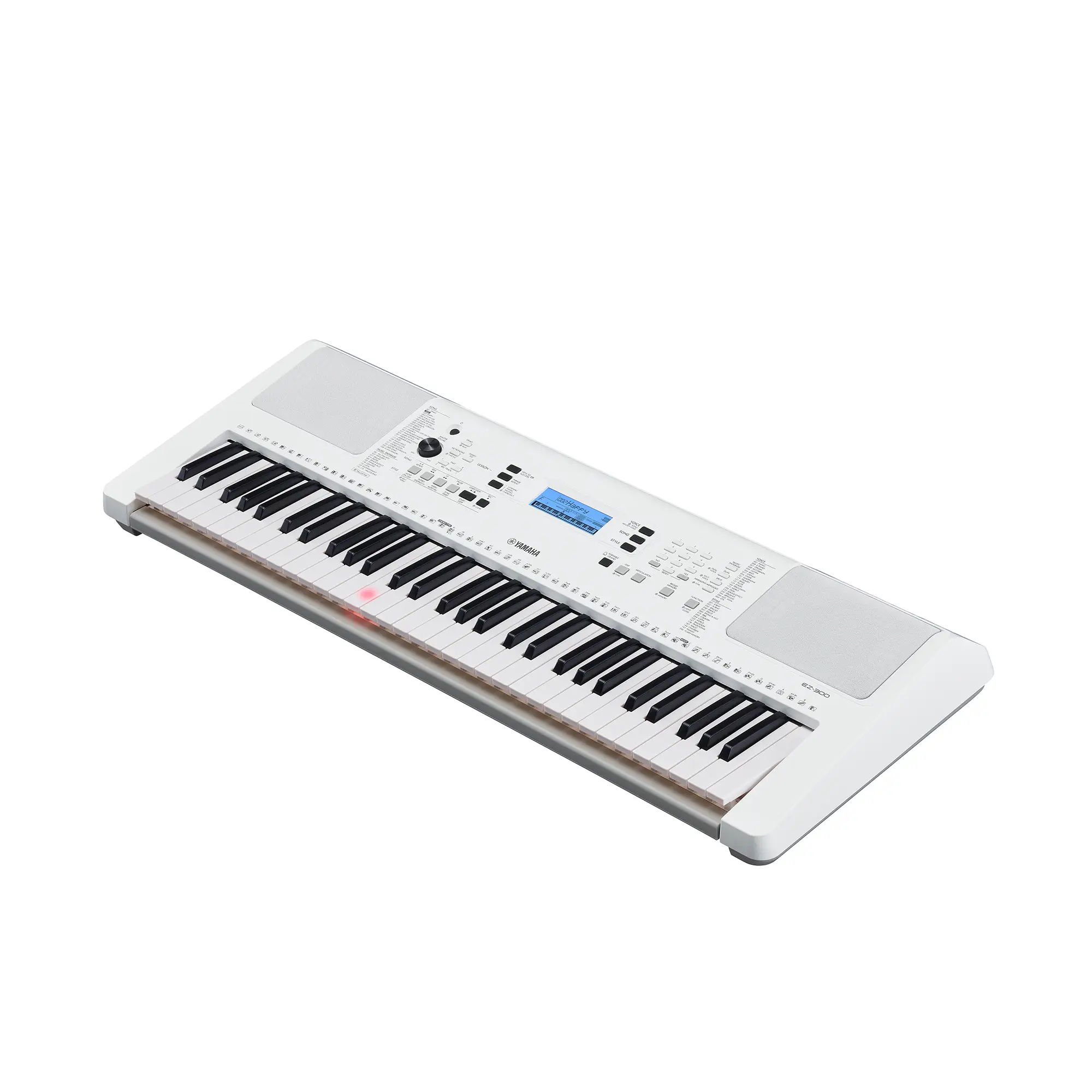 Yamaha EZ-300 SEZ300 Thumbnail 3