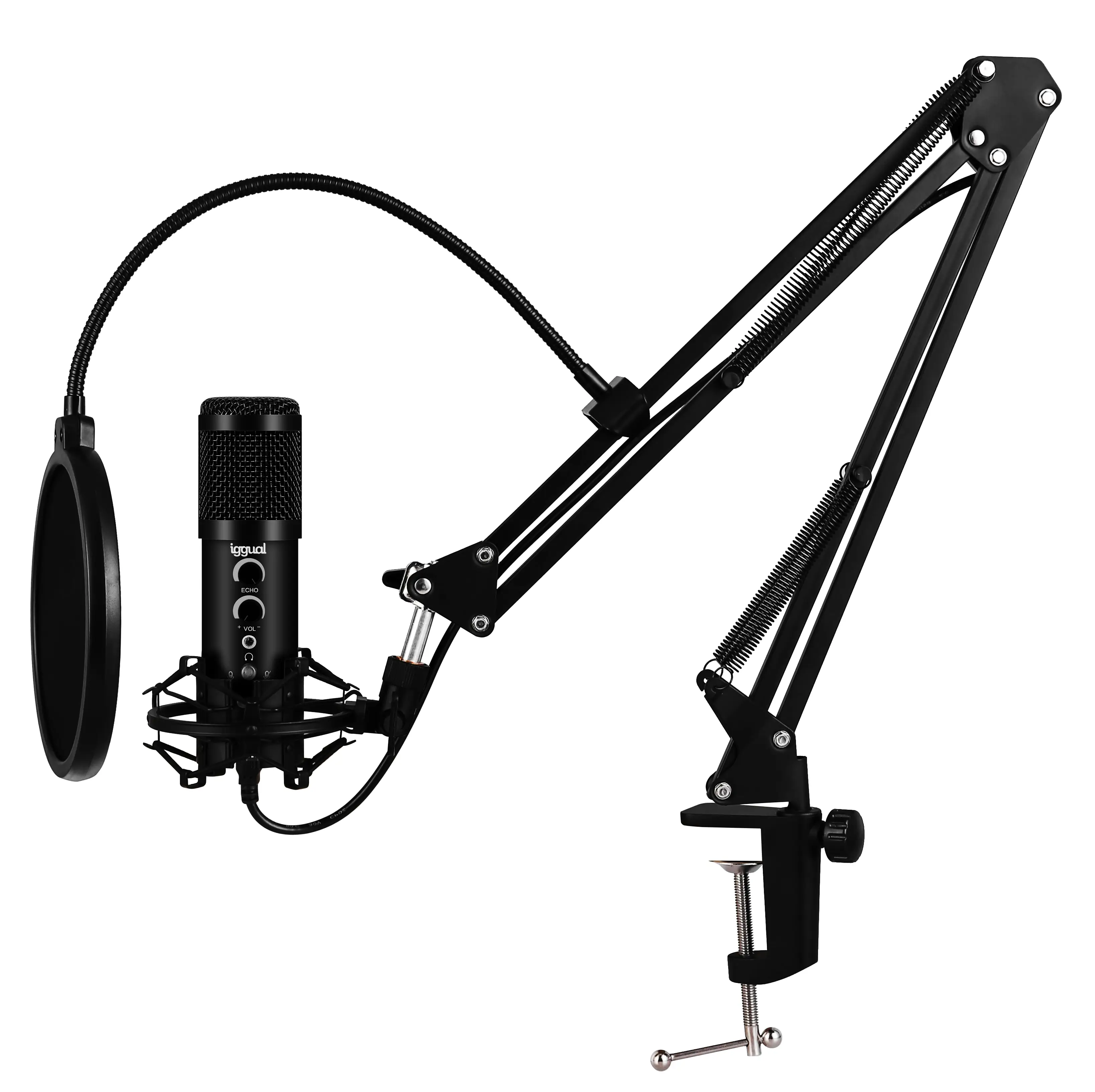 iggual IGG317150 Mikrofon