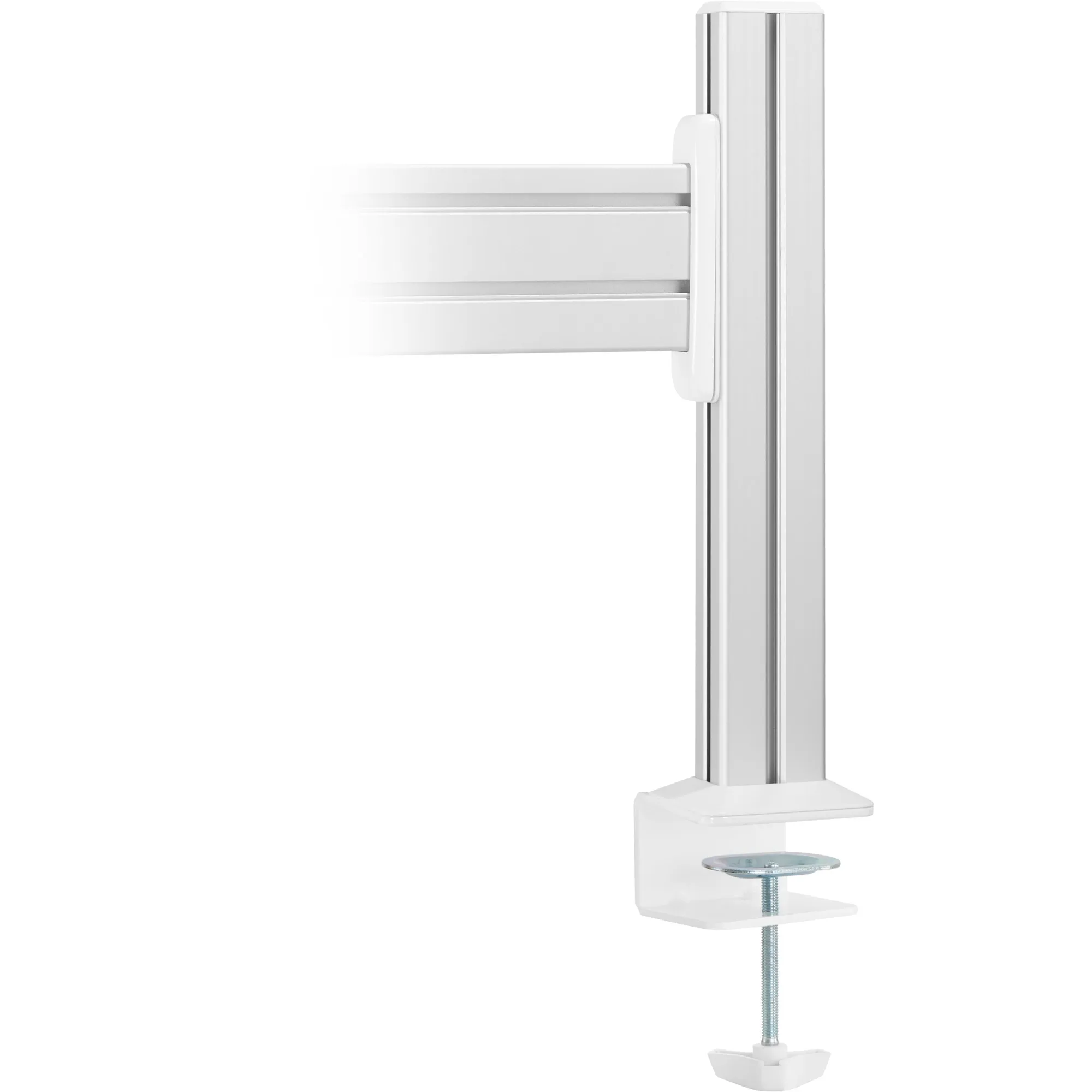 InLine 23181F Thumbnail 4