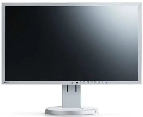EIZO EV2436WFS-GY 24.1 inç IPS Monitör Monitörle