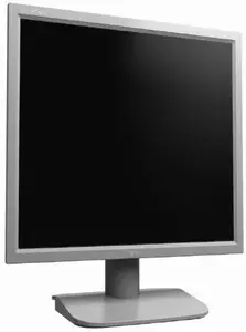 LG 17.0" Active Matrix TFT LCD Screen L1718S-SN 17 inç Monitör Monitörle
