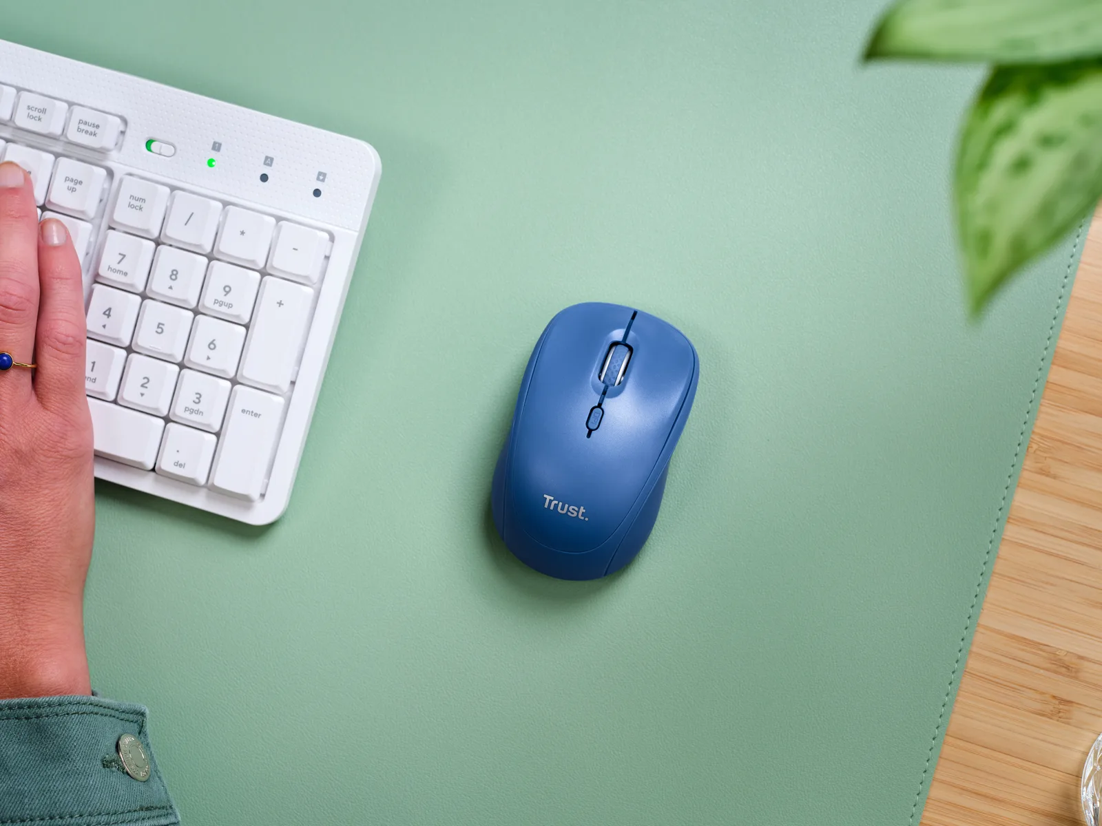 Trust Yvi+ 25455 1600 DPI Bluetooth Kablosuz Mouse Thumbnail 8
