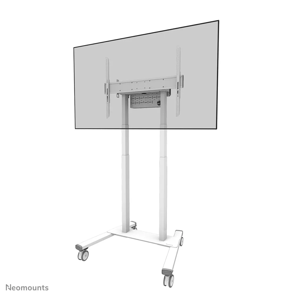 Neomounts FL55-875WH1 Multimedia Arabalar & Stand