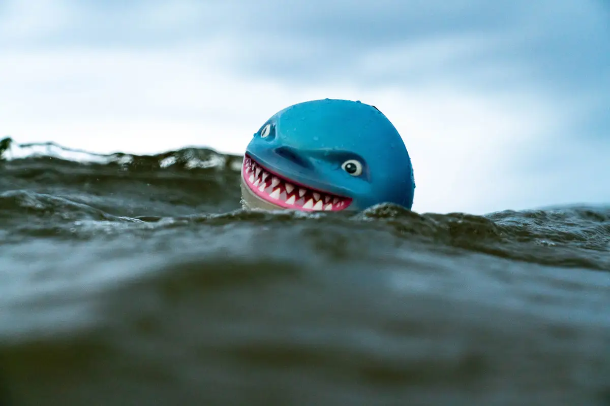 Waboba SHARKY SHARK 154C02 Thumbnail 4