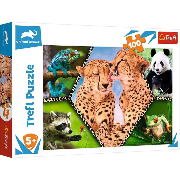 Trefl 16424 100 Parça Puzzle