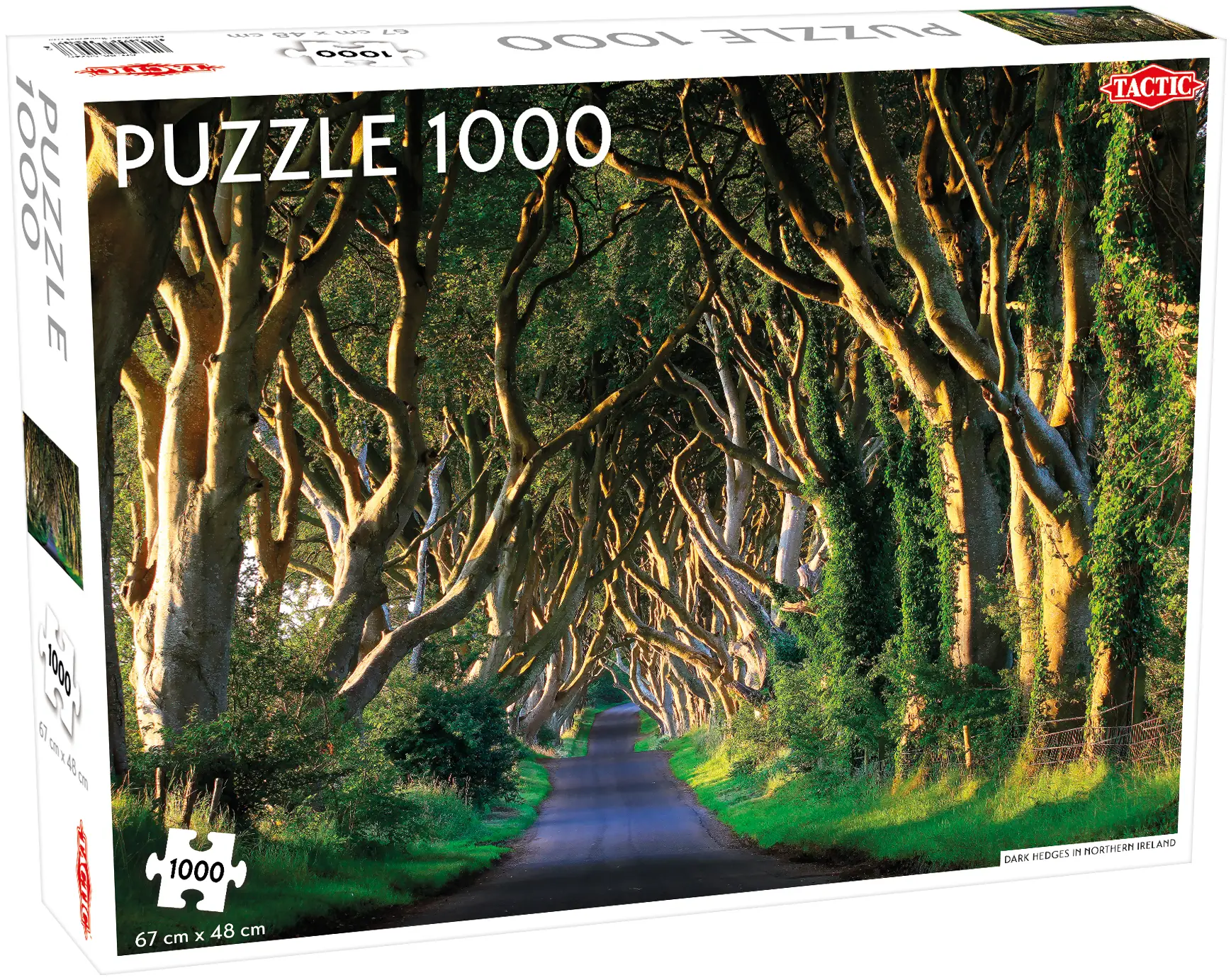 Tactic Dark Hedges in Northern Ireland 1000 Parça 58246 Puzzle