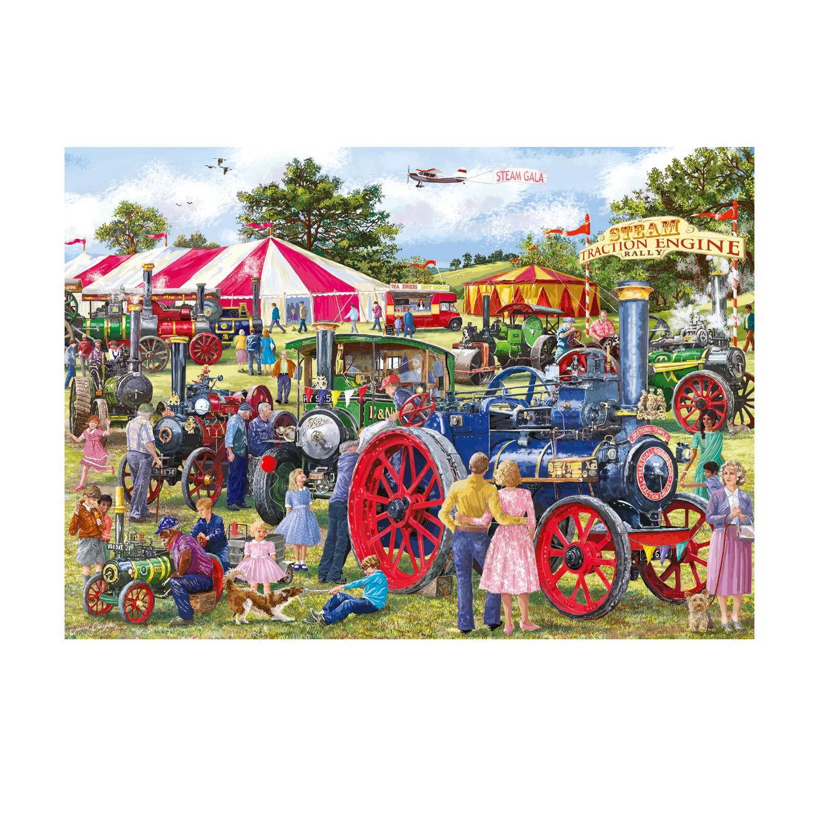 Jumbo Falcon de luxe 11389 1000 Parça Puzzle Thumbnail 9