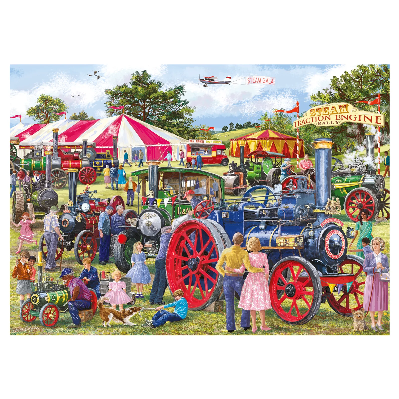 Jumbo Falcon de luxe 11389 1000 Parça Puzzle Thumbnail 10