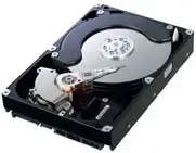 Samsung 80GB HD083GJ 8 GB 7200 RPM 3.5 inç Dahili Sabit Disk (HDD)