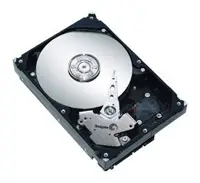 Seagate 300GB ST3300620AS 7200 RPM SATA Dahili Sabit Disk (HDD)