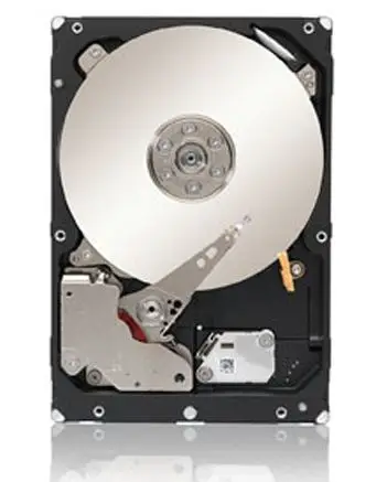 Seagate ES.2 2TB ST32000645NS Sabit Disk