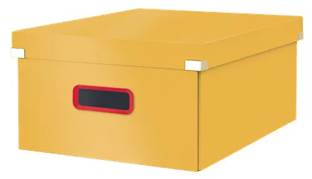 Leitz Click & Store 53490019 Saklama Kutuları