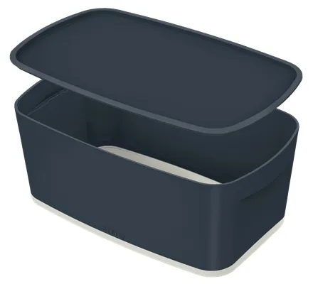 Leitz MyBox 52630089 Saklama Kutuları