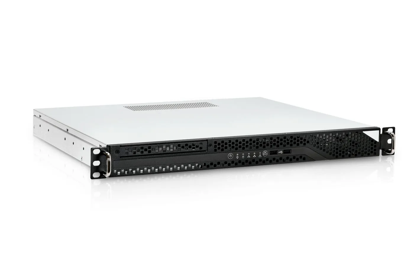 Ernitec SR-1X1F2-A4 Server