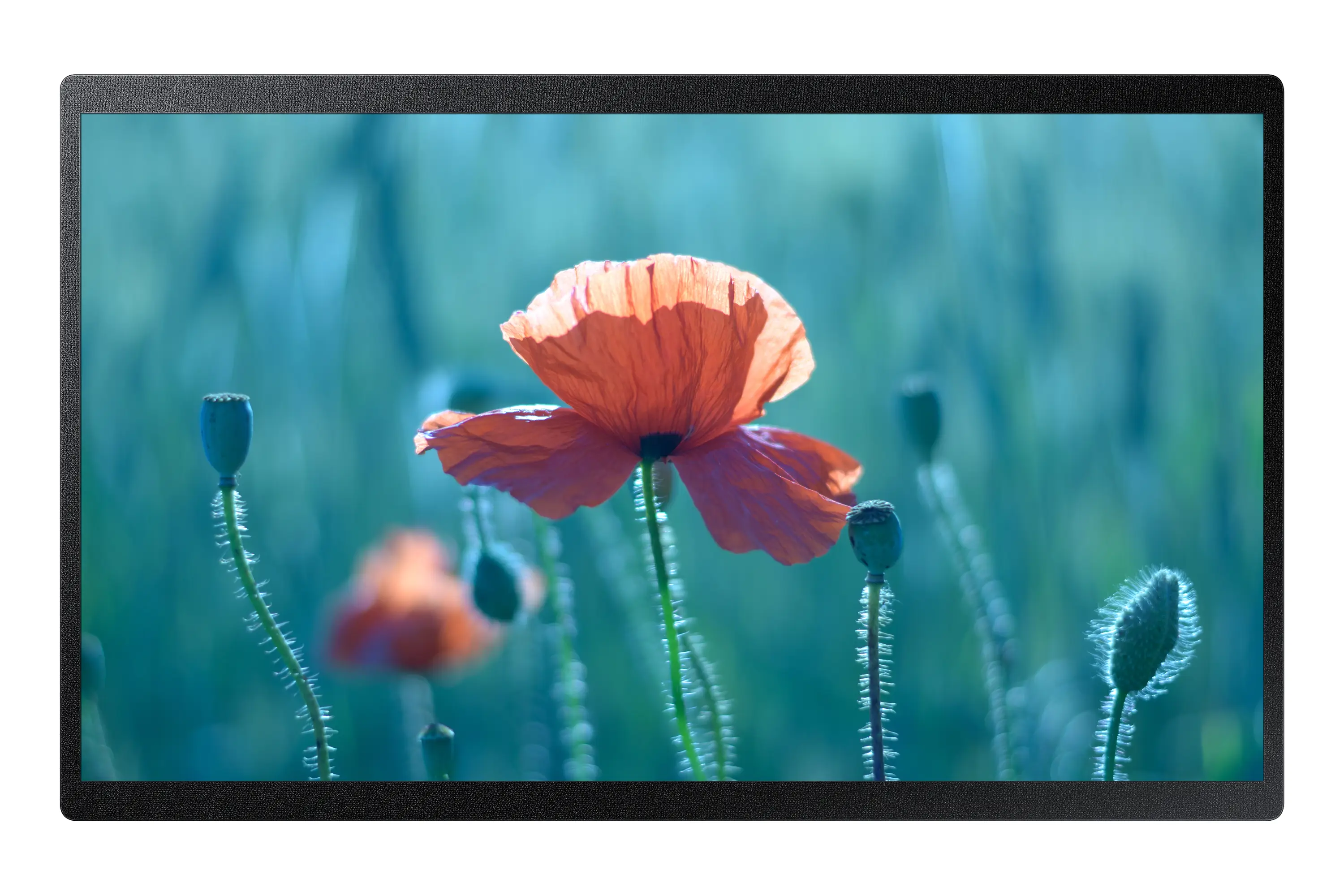 Samsung QB24R-B LH24QBRBBGCXEN Sinyal Ekranları