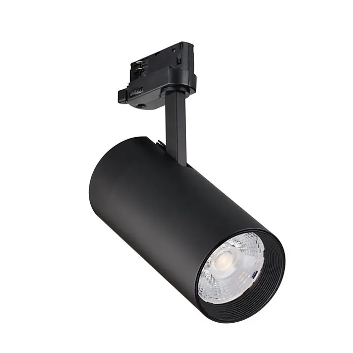Philips by Signify 79071499 Spot
