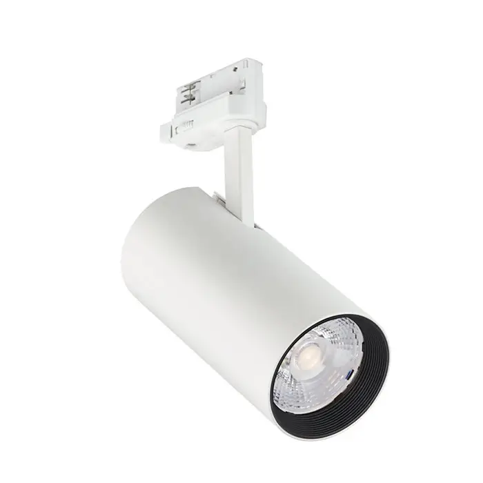 Philips by Signify 79073899 Spot