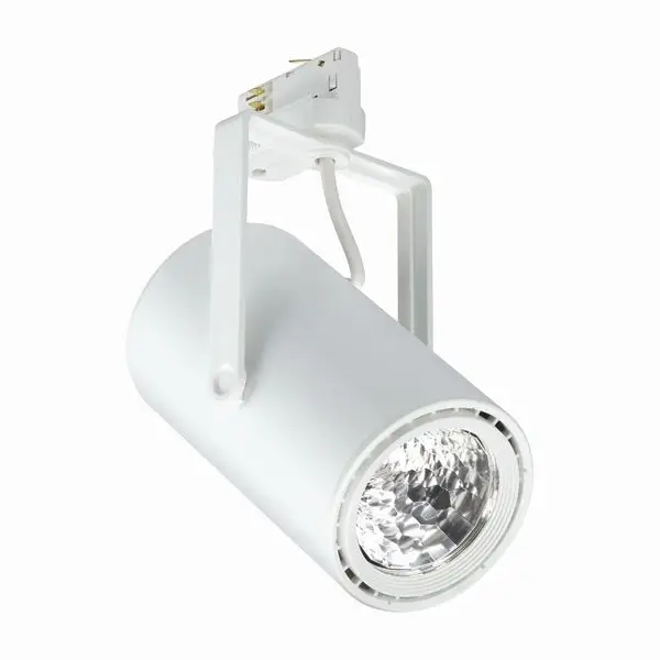 Philips by Signify GreenSpace Accent 33 W 17279400 Spot