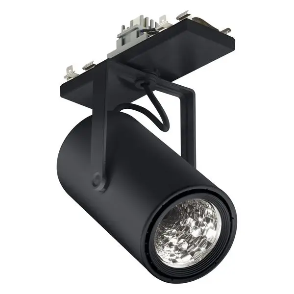 Philips by Signify GreenSpace Accent-Strahler 37 W 17314200 Spot