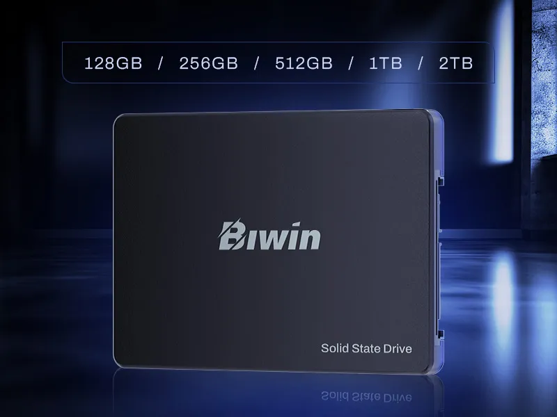 Biwin M100 BM100NN02TB-RGX 2 TB 2.5" SSD Thumbnail 13
