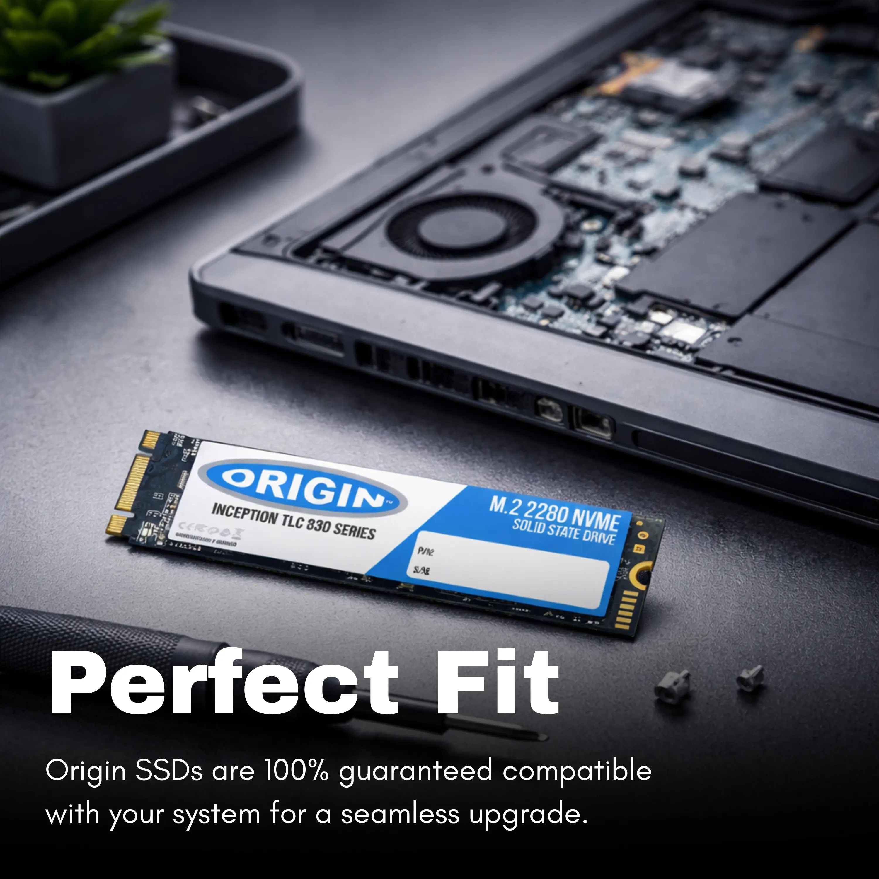 Origin Storage 5SS1D71710-OS 256 GB M.2 22x80 Gen3 NVMe SSD Thumbnail 3