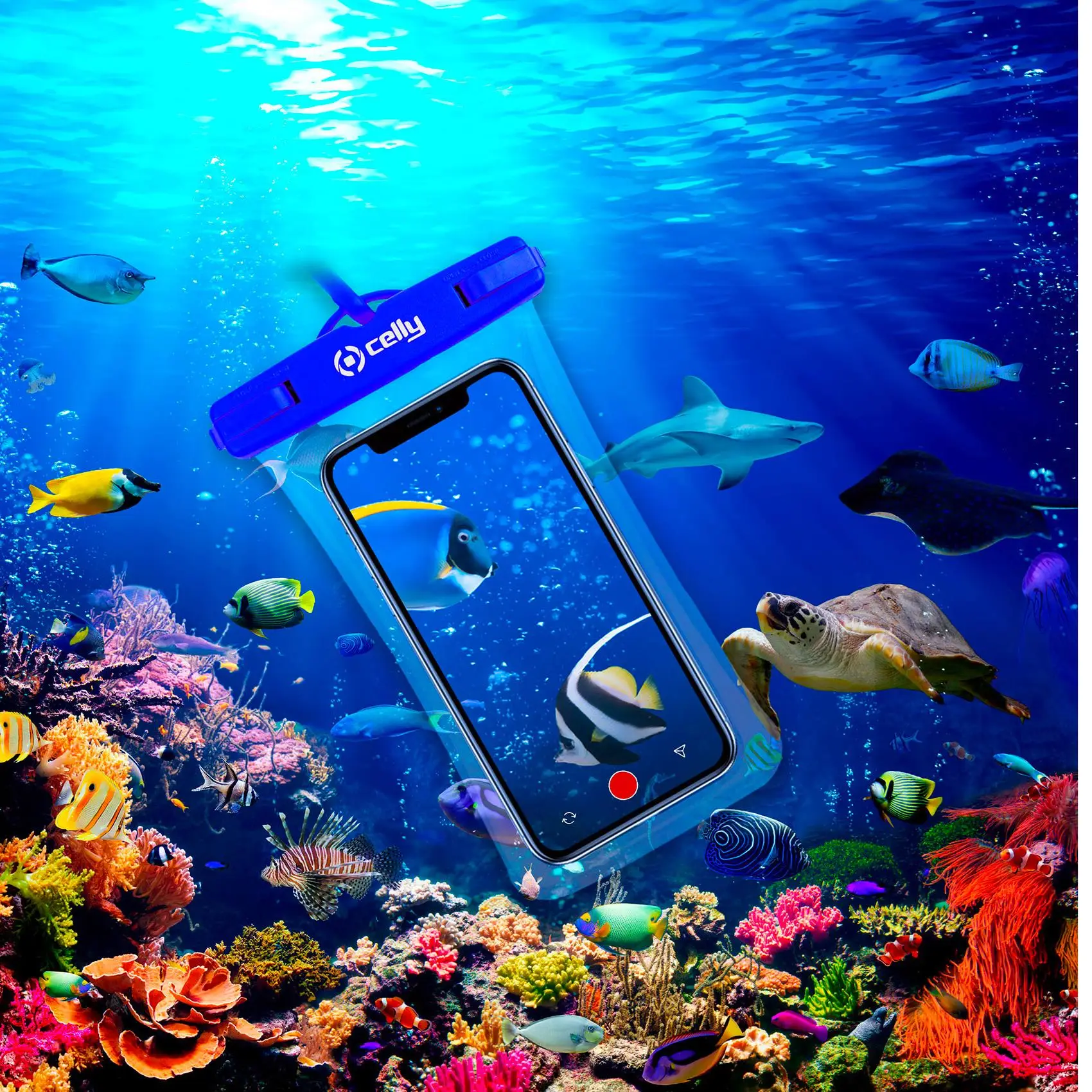 Celly SPLASHBAG21BL Su Geçirmez Torb