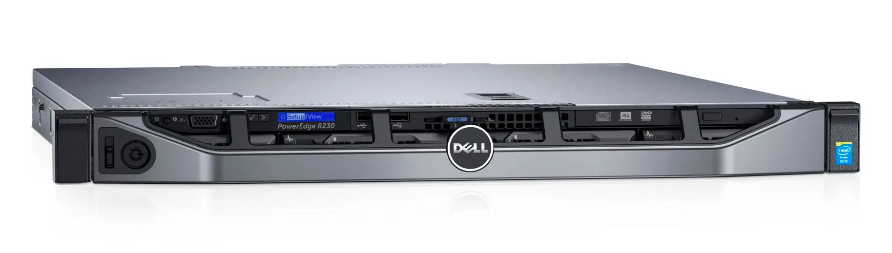 DELL R230 1 TB 20443622