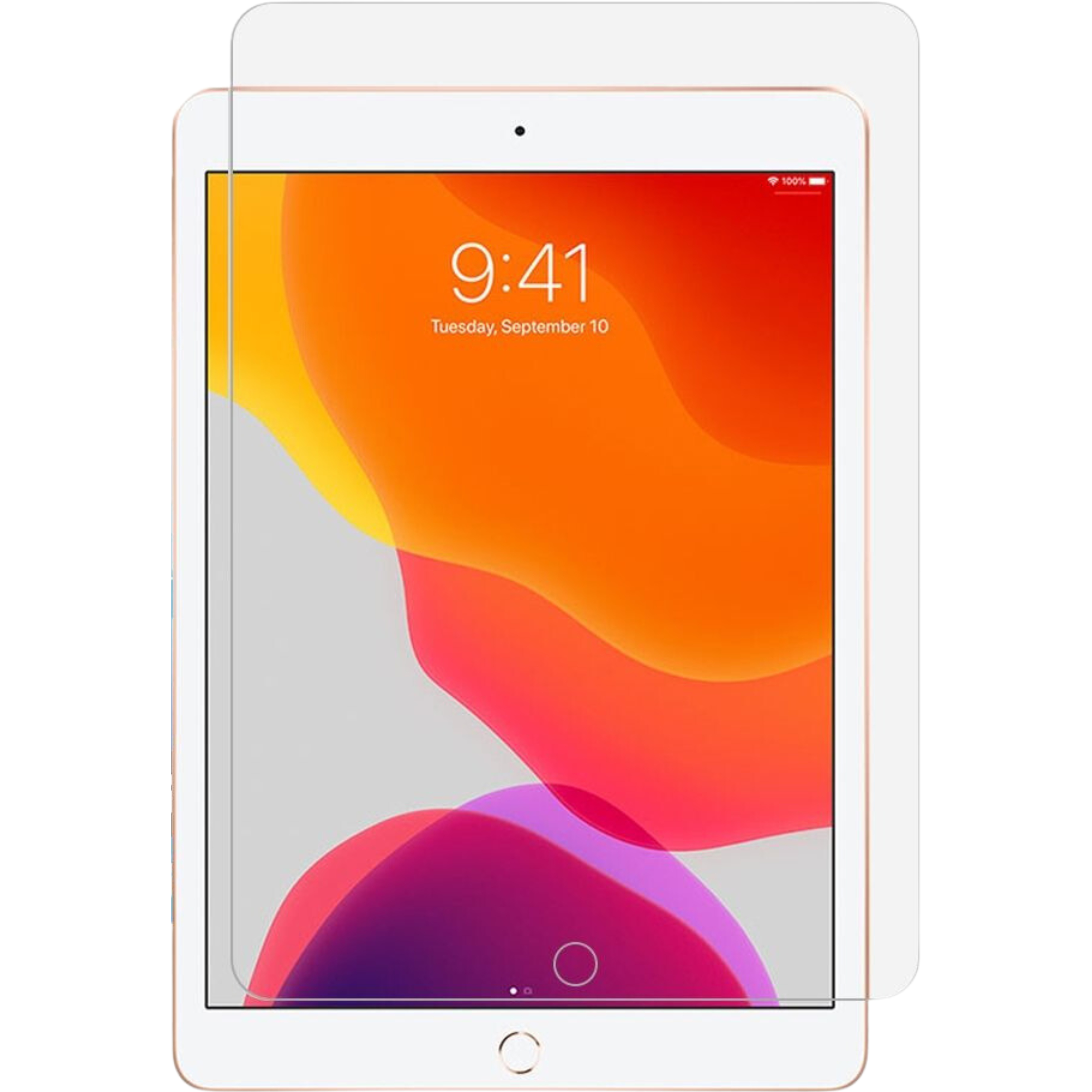 DEQSTER SCREEN PROTECTOR LITE 10.2IN 40-1009184 Tablet Ekran Koruyucuları