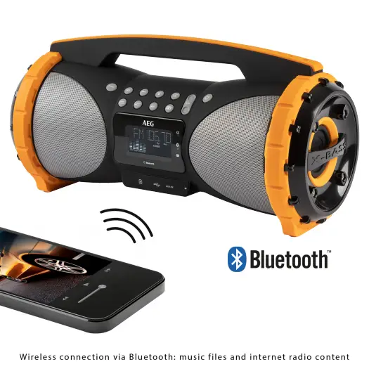AEG SR 4367 BT 100 W 400641 Thumbnail 1