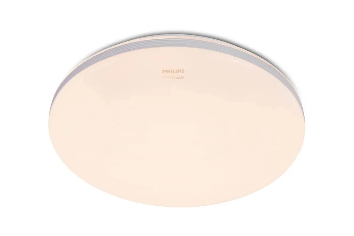Philips by Signify 6941970645843 Tavan Aydınlatmaları