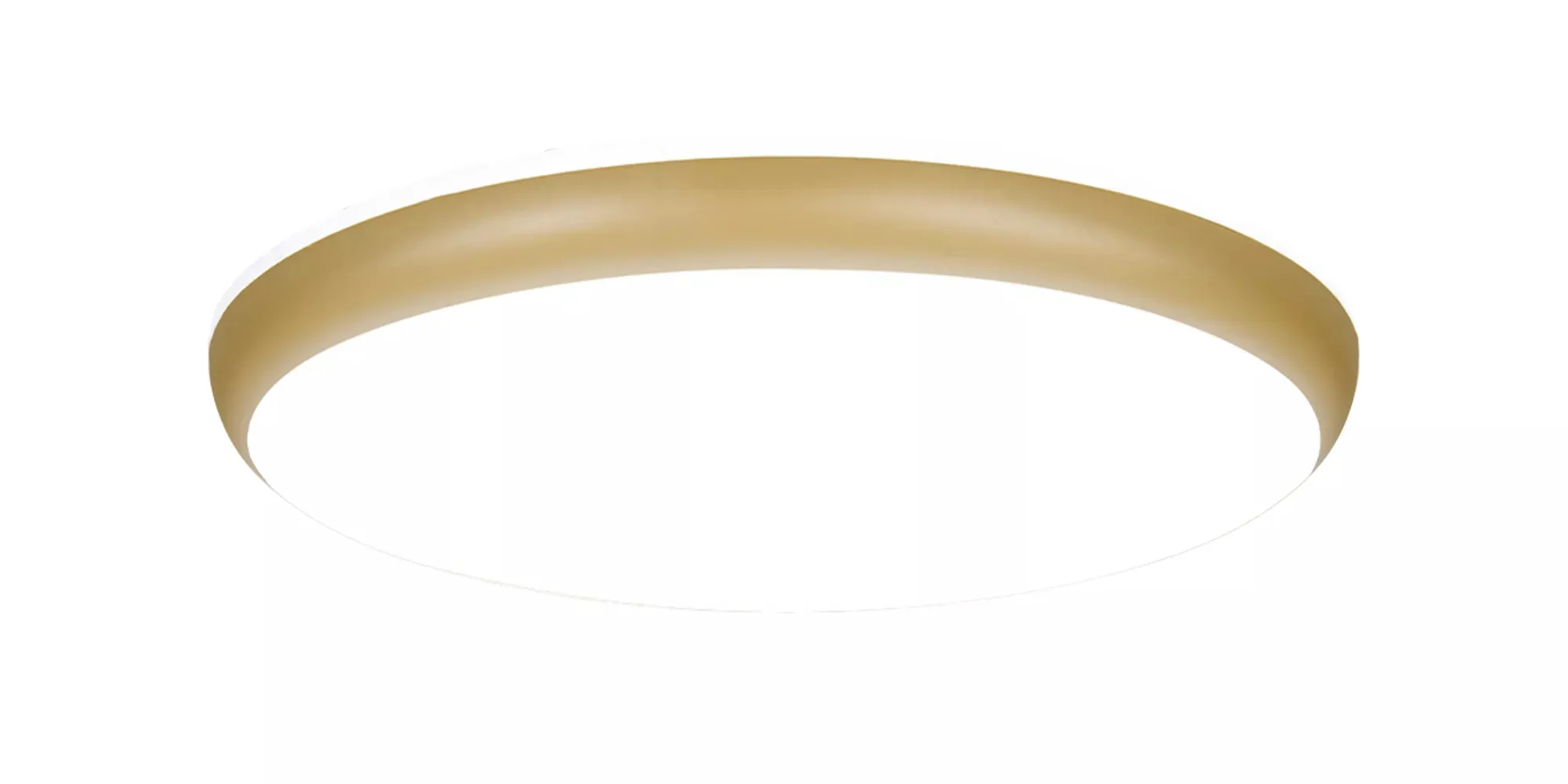 Philips by Signify myBathroom 919215851070 Tavan Aydınlatmaları
