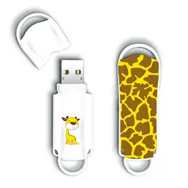 Integral INFD4GBXPRGIRAFFE 4 GB USB 2.0 Flash Bellek USB Bellek