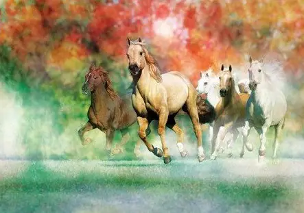 Clementoni Runners in the Wind 31951 1500 Parça Puzzle USB Cihaz