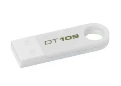 Kingston Technology 109 4 GB DT109W/4GB USB 2.0 Flash Bellek