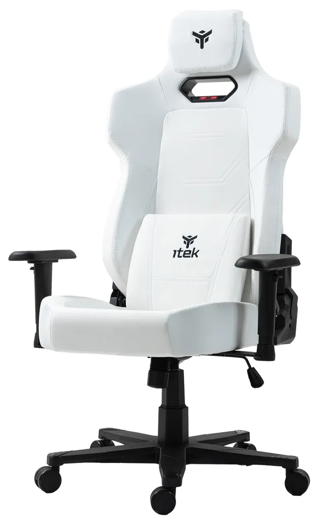 itek SHUTTLE PM66 ITCGPM66BW Video Oyunu Koltukları