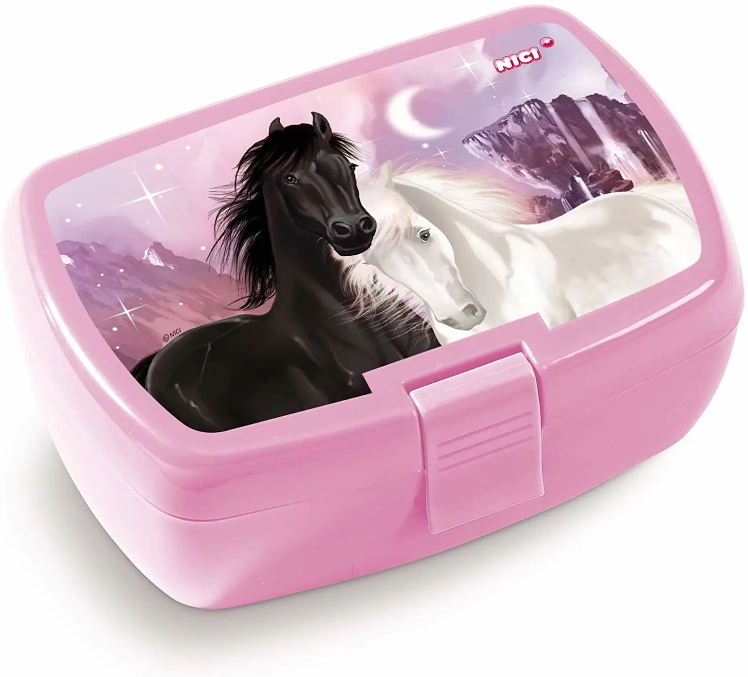 NICI 45448 Yemek Kutuları